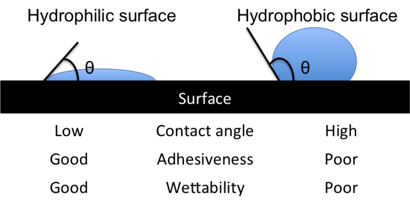 Contact angle of water on a hydrophobic versus hydrophilic surface